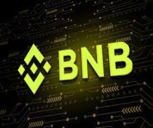 BNB ( Binance Coin )